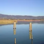 In Tuoro Near Trasimeno *