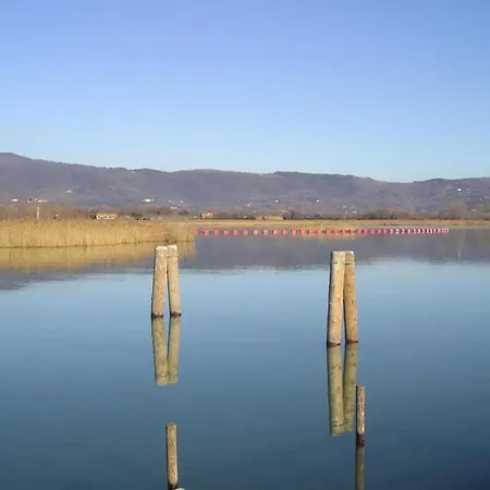 In Tuoro Near Trasimeno *