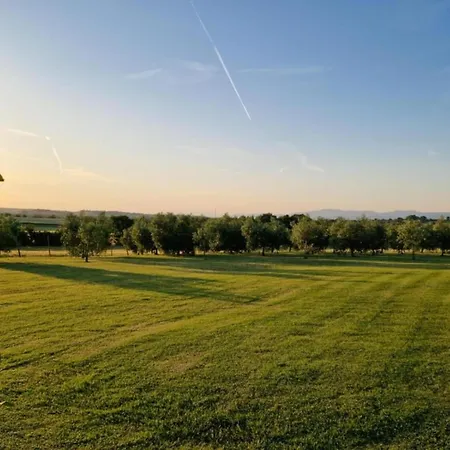 In Tuoro Near Trasimeno Apartment *